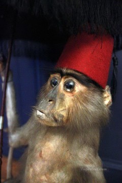  rojo Pintura al %C3%B3leo - pequeño mono con sombrero rojo